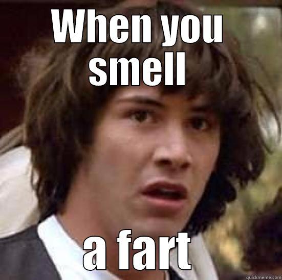 WHEN YOU SMELL A FART conspiracy keanu