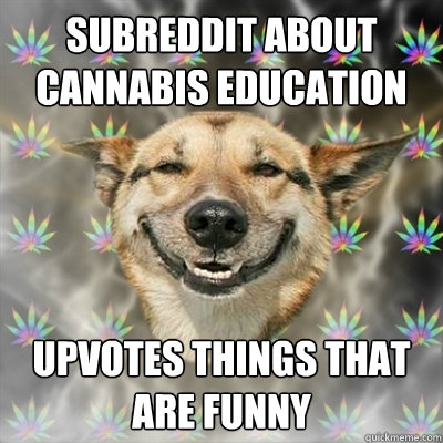 Subreddit about cannabis education Upvotes things that are funny  Stoner Dog