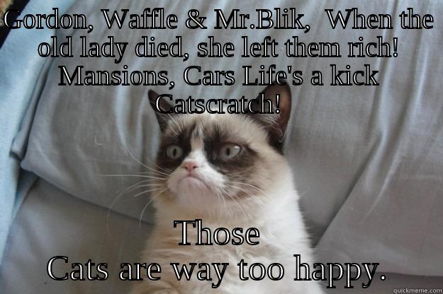 GORDON, WAFFLE & MR.BLIK,  WHEN THE OLD LADY DIED, SHE LEFT THEM RICH! MANSIONS, CARS LIFE'S A KICK CATSCRATCH! THOSE CATS ARE WAY TOO HAPPY. Grumpy Cat