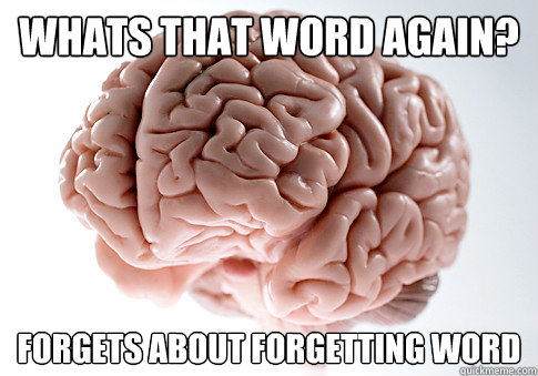 Whats that word again? Forgets about forgetting word  Scumbag Brain