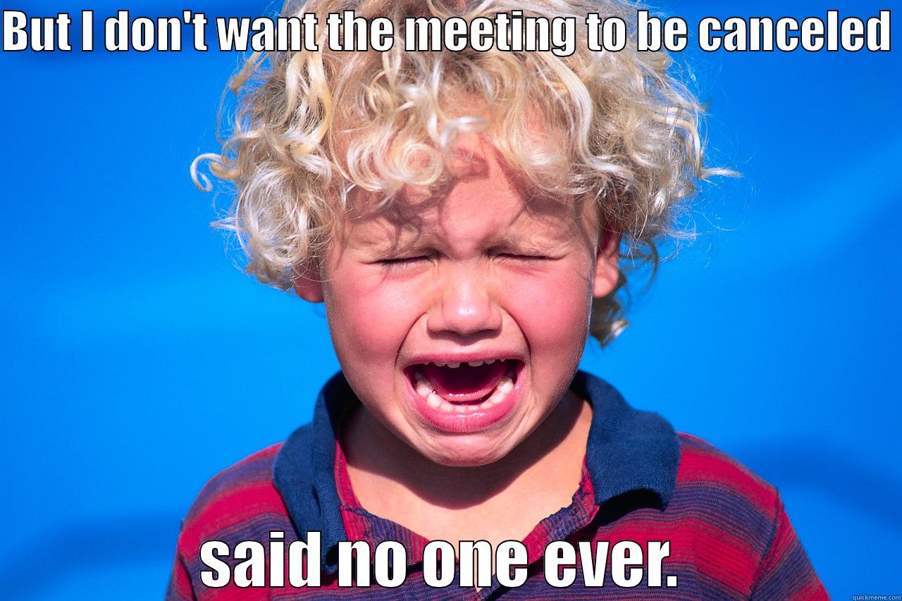 BUT I DON'T WANT THE MEETING TO BE CANCELED  SAID NO ONE EVER.  Misc