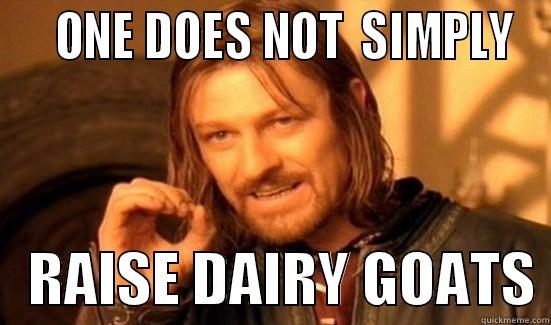    ONE DOES NOT  SIMPLY    RAISE DAIRY GOATS Boromir