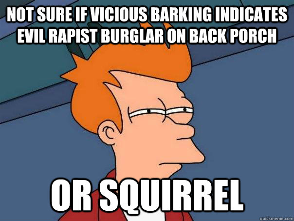 Not sure if vicious barking indicates evil rapist burglar on back porch or squirrel  Futurama Fry