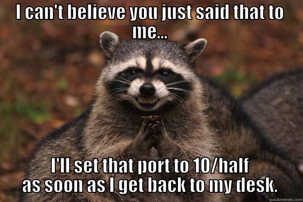 I CAN'T BELIEVE YOU JUST SAID THAT TO ME... I'LL SET THAT PORT TO 10/HALF AS SOON AS I GET BACK TO MY DESK. Evil Plotting Raccoon