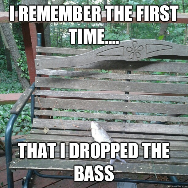 I remember the first time.... That I dropped the Bass - I remember the first time.... That I dropped the Bass  Heavy Bassfish