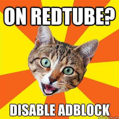 On Redtube? Disable Adblock  Bad Advice Cat