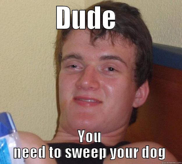 DUDE  YOU NEED TO SWEEP YOUR DOG 10 Guy