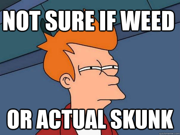 Not sure if weed Or actual skunk  Futurama Fry