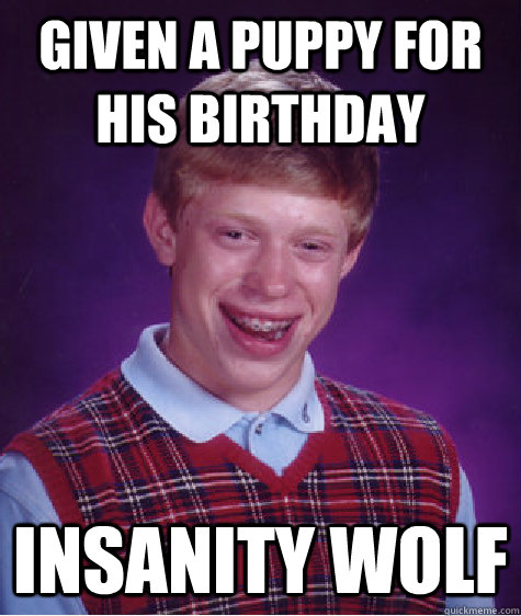 given a puppy for his birthday insanity wolf  Bad Luck Brian