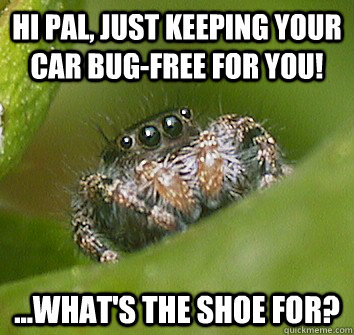 Hi pal, just keeping your car bug-free for you! ...what's the shoe for?  Misunderstood Spider