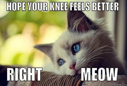 KNEE PROBLEMS - HOPE YOUR KNEE FEELS BETTER RIGHT               MEOW First World Problems Cat