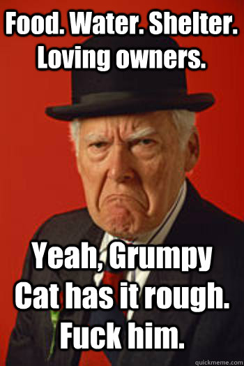 Food. Water. Shelter. Loving owners. Yeah, Grumpy Cat has it rough. Fuck him.  Pissed old guy