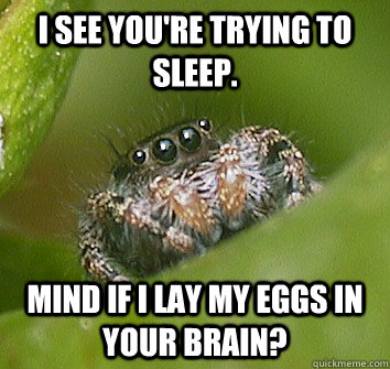 I see you're trying to sleep. Mind if I lay my eggs in your brain?  Misunderstood Spider