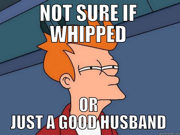 FRY CONFUSED - NOT SURE IF WHIPPED OR JUST A GOOD HUSBAND Futurama Fry