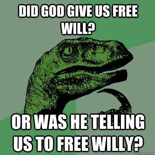 Did God give us free will? Or was he telling us to Free Willy? - Did God give us free will? Or was he telling us to Free Willy?  Philosoraptor