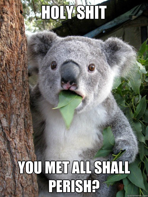 Holy shit You met all shall perish? - Holy shit You met all shall perish?  Shocked Koala