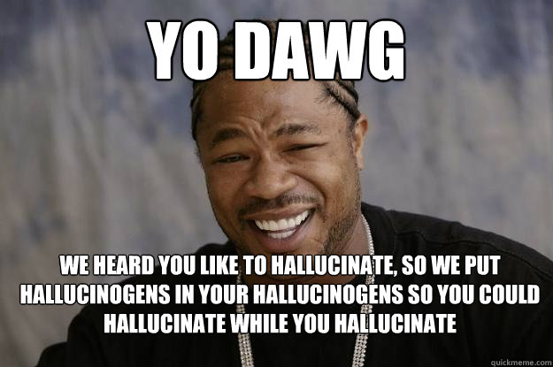 yo dawg we heard you like to hallucinate, so we put hallucinogens in your hallucinogens so you could hallucinate while you hallucinate - yo dawg we heard you like to hallucinate, so we put hallucinogens in your hallucinogens so you could hallucinate while you hallucinate  Xzibit meme 2