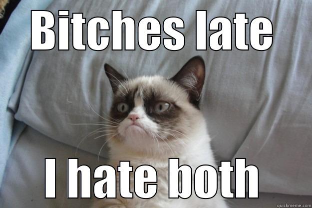 BITCHES LATE I HATE BOTH Grumpy Cat