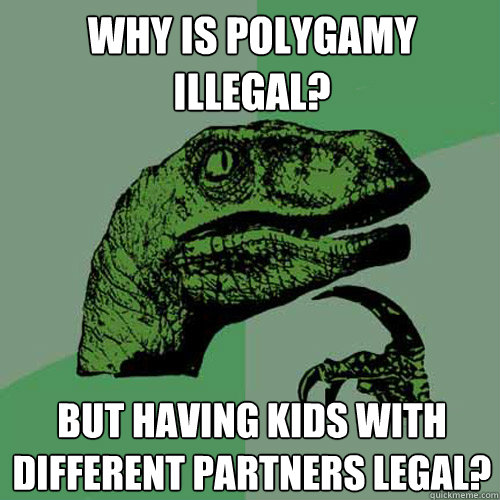 why is polygamy illegal? But having kids with different partners legal? - why is polygamy illegal? But having kids with different partners legal?  Philosoraptor