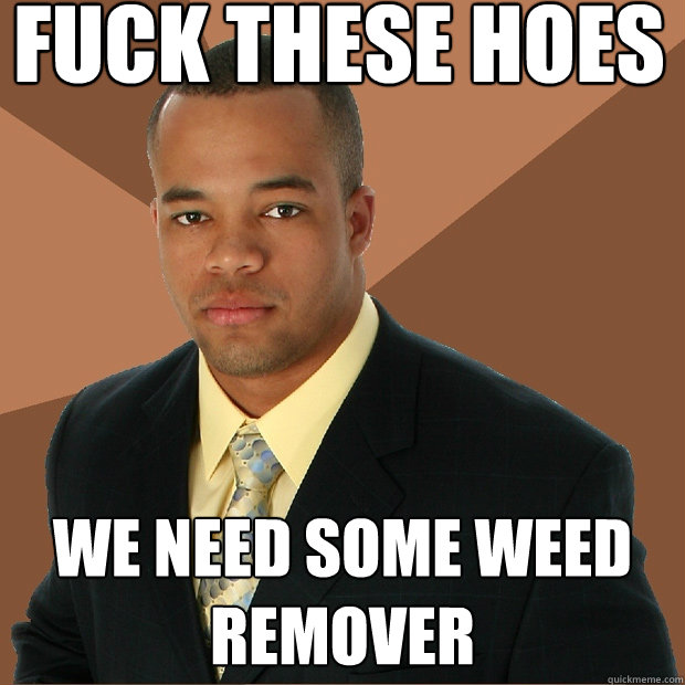 fuck these hoes we need some weed remover  Successful Black Man