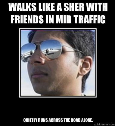 WALKS LIKE A SHER WITH FRIENDS IN MID TRAFFIC Quietly runs across the road alone.  Rich Delhi Boy