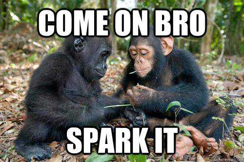 Come on bro spark it - Come on bro spark it  Misc