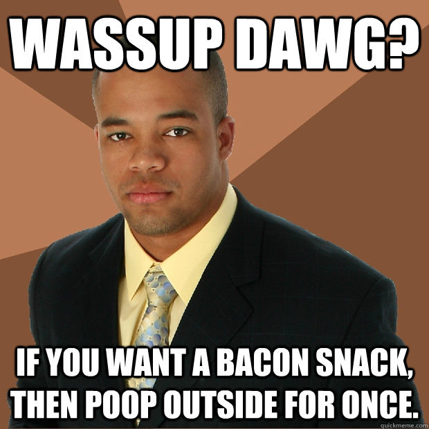 wassup dawg? if you want a bacon snack, then poop outside for once. - wassup dawg? if you want a bacon snack, then poop outside for once.  Successful Black Man