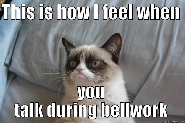 teacher memes - THIS IS HOW I FEEL WHEN  YOU TALK DURING BELLWORK Grumpy Cat