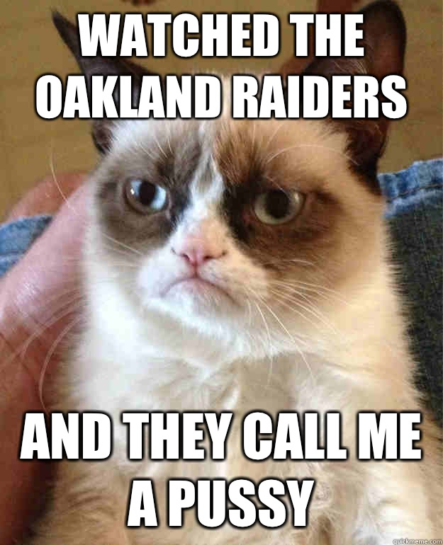 Watched the Oakland Raiders And they call me a pussy  Grumpy Cat