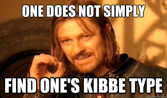 One Does Not Simply find one's kibbe type  Boromir