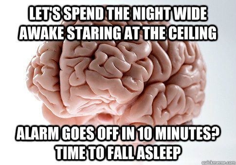 Let's spend the night wide awake staring at the ceiling Alarm goes off in 10 minutes? Time to fall asleep  Scumbag Brain