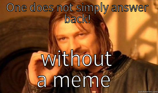 ONE DOES NOT SIMPLY ANSWER BACK! WITHOUT A MEME  Boromir