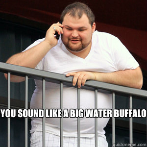 You sound like a big water buffalo  - You sound like a big water buffalo   Teen Mom