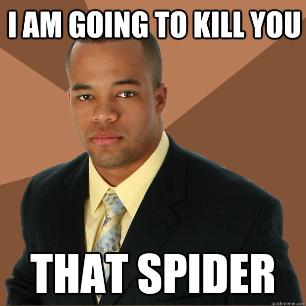 I am going to kill you That spider - I am going to kill you That spider  Successful Black Man