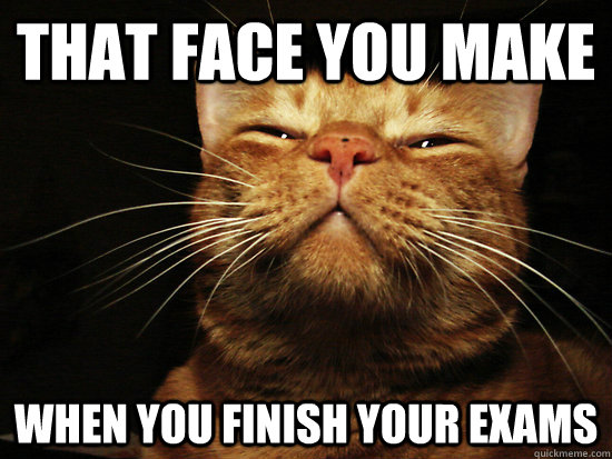 That face you make When you finish your exams - That face you make When you finish your exams  Misc