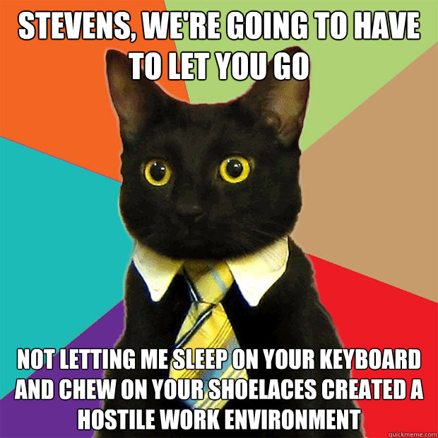 Stevens, we're going to have to let you go Not letting me sleep on your keyboard and chew on your shoelaces created a hostile work environment  Business Cat