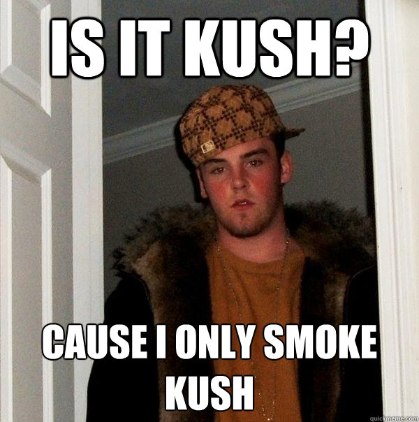 Is it kush? cause i only smoke kush - Is it kush? cause i only smoke kush  Scumbag Steve