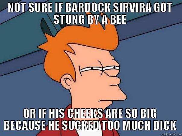 NOT SURE IF BARDOCK SIRVIRA GOT STUNG BY A BEE OR IF HIS CHEEKS ARE SO BIG BECAUSE HE SUCKED TOO MUCH DICK Futurama Fry