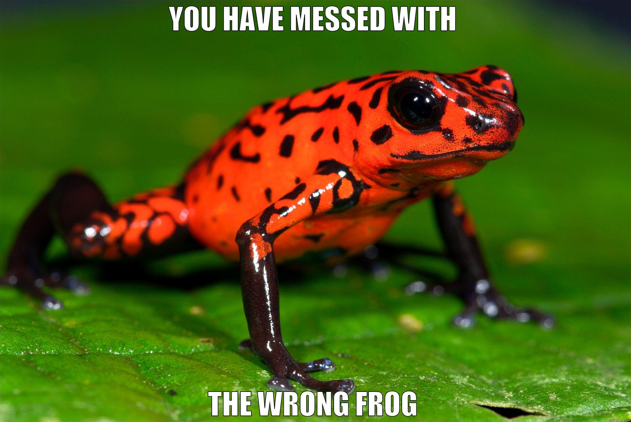 YOU HAVE MESSED WITH THE WRONG FROG Misc