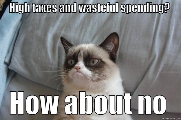 HIGH TAXES AND WASTEFUL SPENDING? HOW ABOUT NO Grumpy Cat