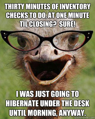 Thirty minutes of inventory checks to do, at one minute til closing?  sure! I was just going to hibernate under the desk until morning, anyway.   Judgmental Bookseller Ostrich