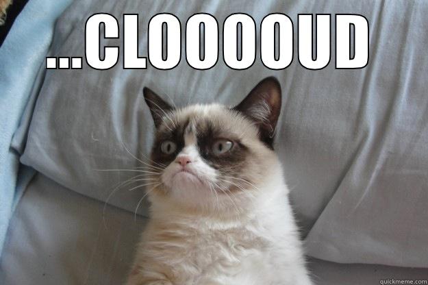 ...CLOOOOUD  Grumpy Cat