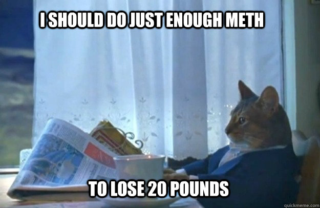 I should do just enough meth To lose 20 pounds  Sophisticated Cat