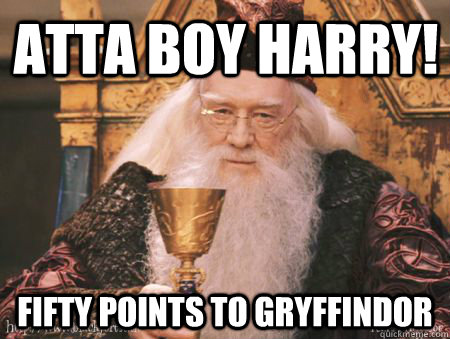 atta boy harry! fifty points to gryffindor  Drew Dumbledore