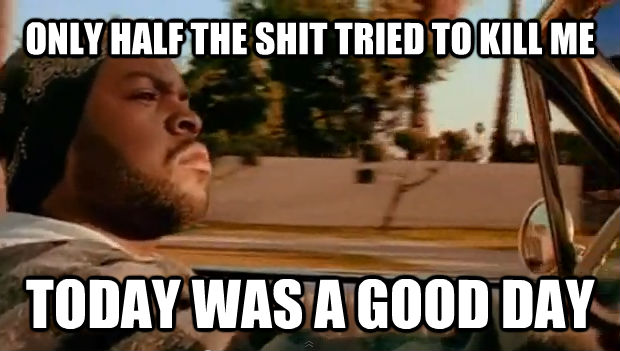 ONLY HALF THE SHIT TRIED TO KILL ME TODAY WAS A GOOD DAY  It was a good day