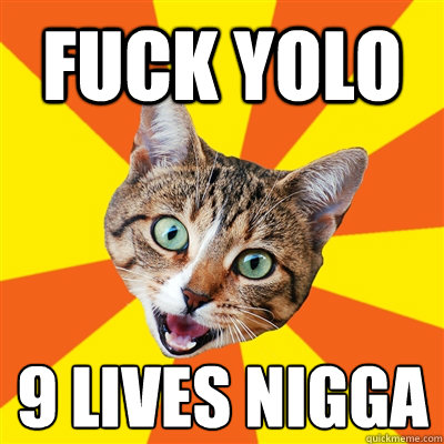 Fuck YOLO 9 lives nigga  Bad Advice Cat