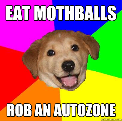 EAT MOTHBALLS ROB AN AUTOZONE - EAT MOTHBALLS ROB AN AUTOZONE  Advice Dog