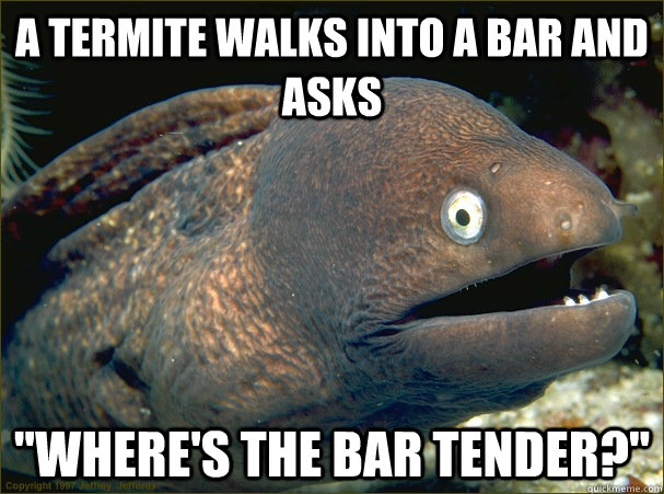 a termite walks into a bar and asks 