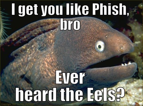 I GET YOU LIKE PHISH, BRO EVER HEARD THE EELS? Bad Joke Eel