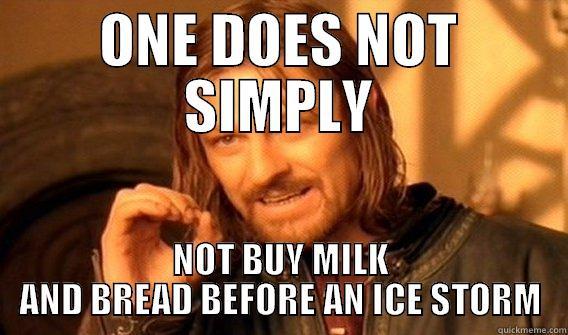 Ice Storm - ONE DOES NOT SIMPLY NOT BUY MILK AND BREAD BEFORE AN ICE STORM One Does Not Simply